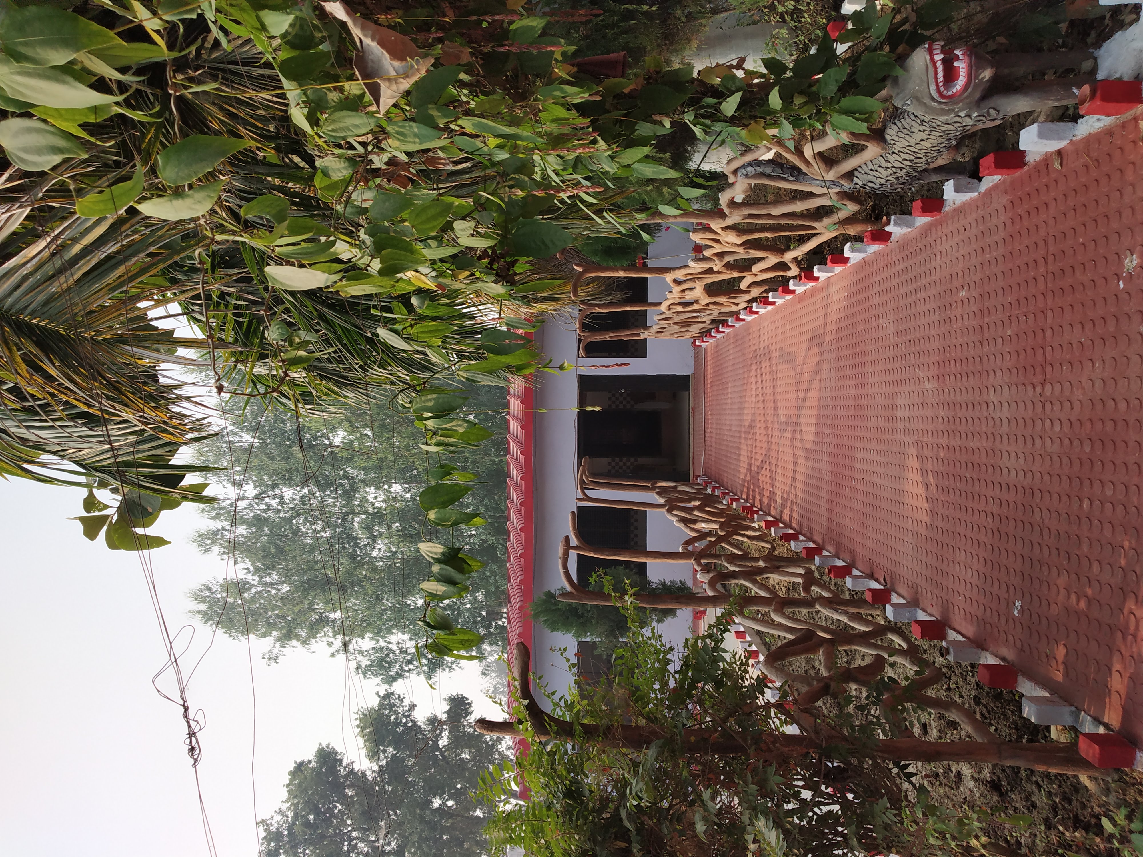 Comfortable accommodations at Aasra Resort