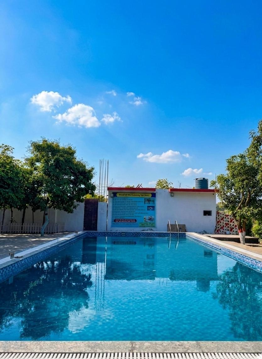 Beautiful swimming pool surrounded by palm trees